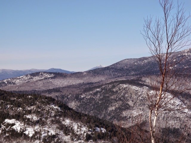 P2010018.jpg