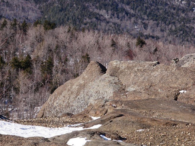 P2010021.jpg