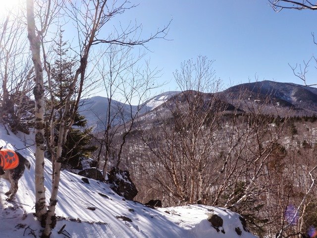 P2010025.jpg