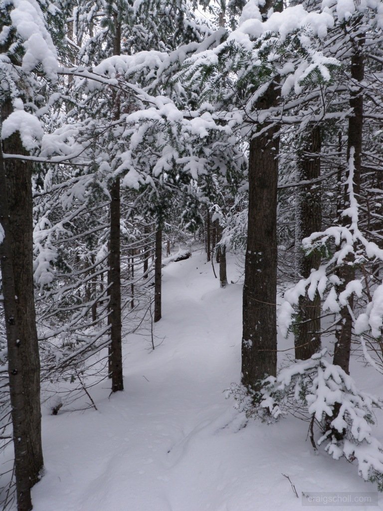 P3090001