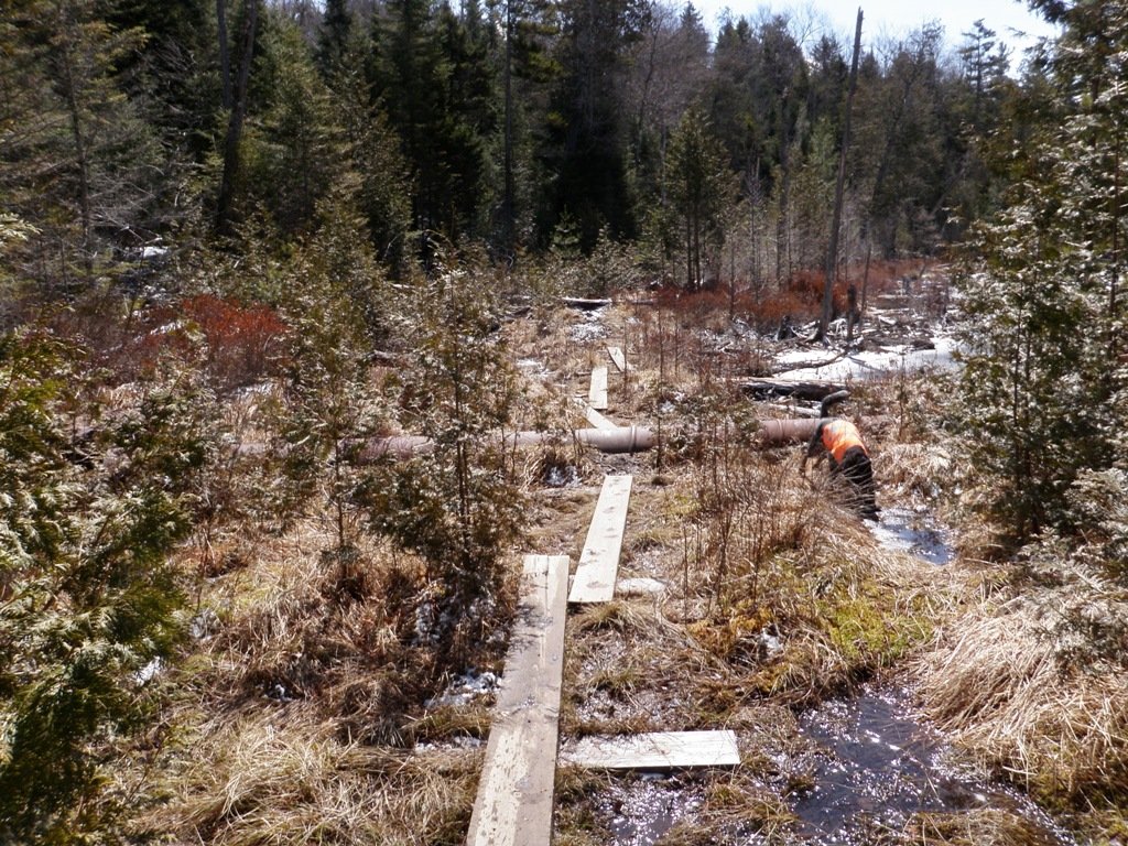 P4080050