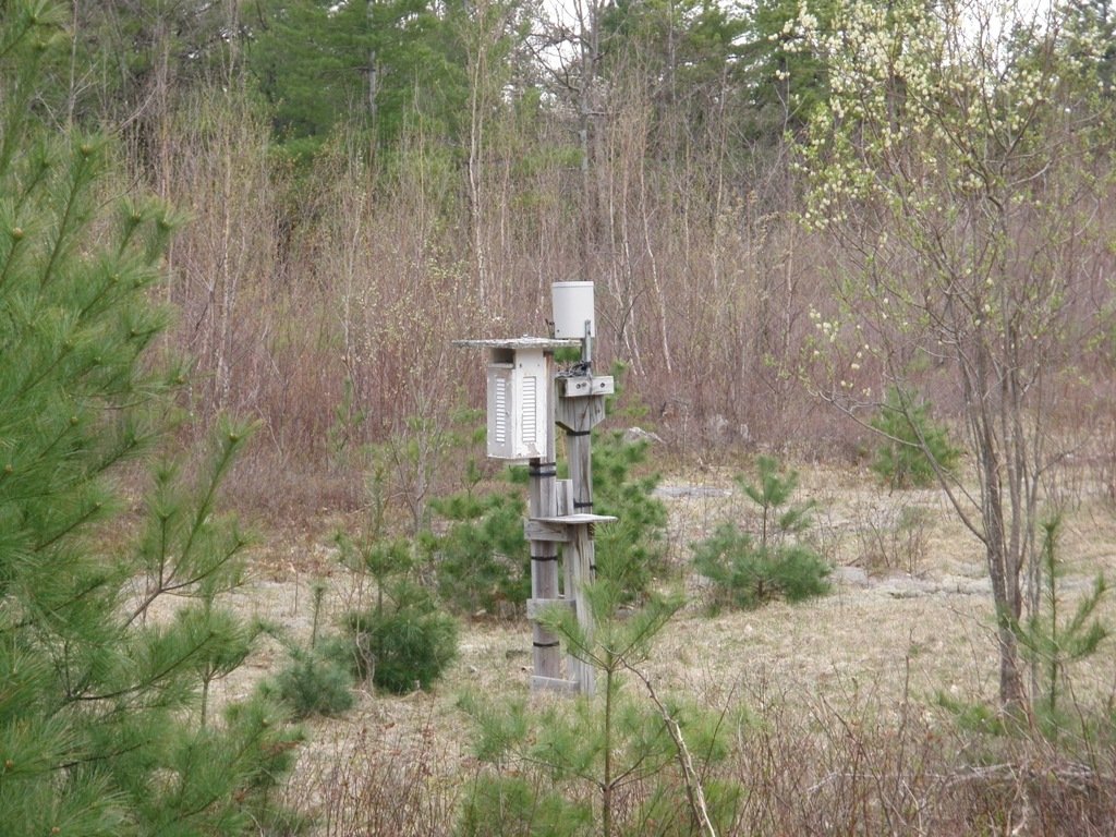 P4300004