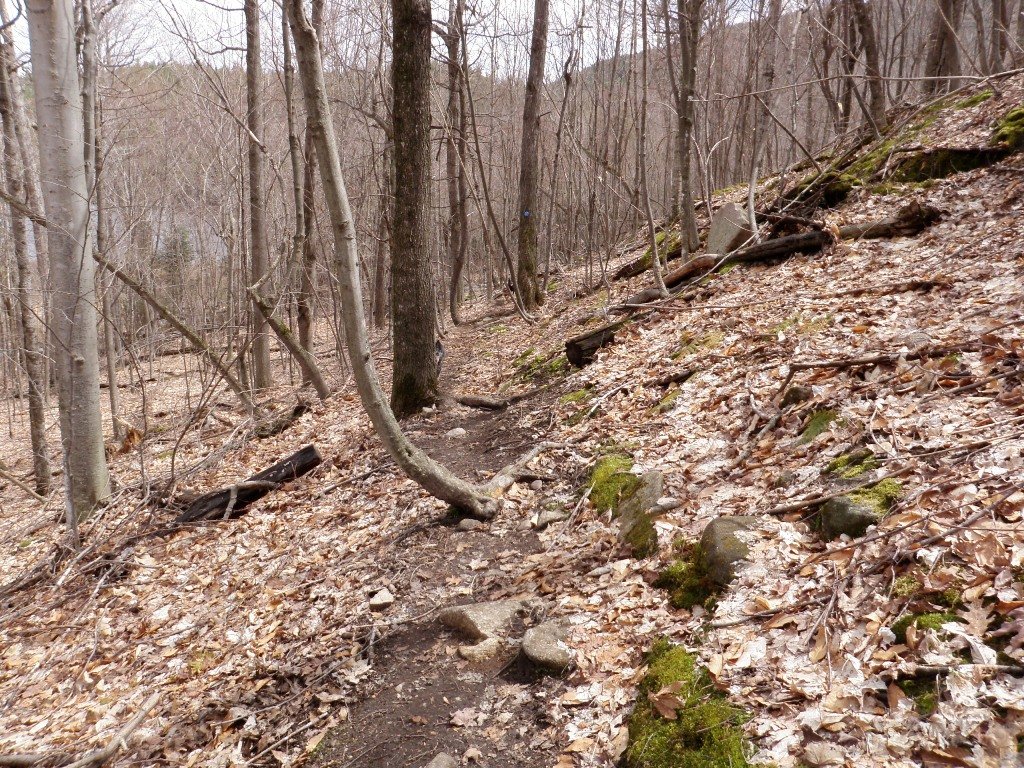 P5050049.JPG