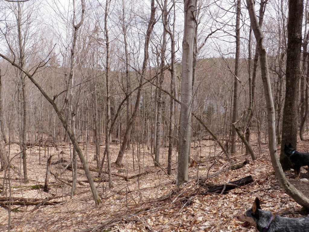 P5050050.JPG