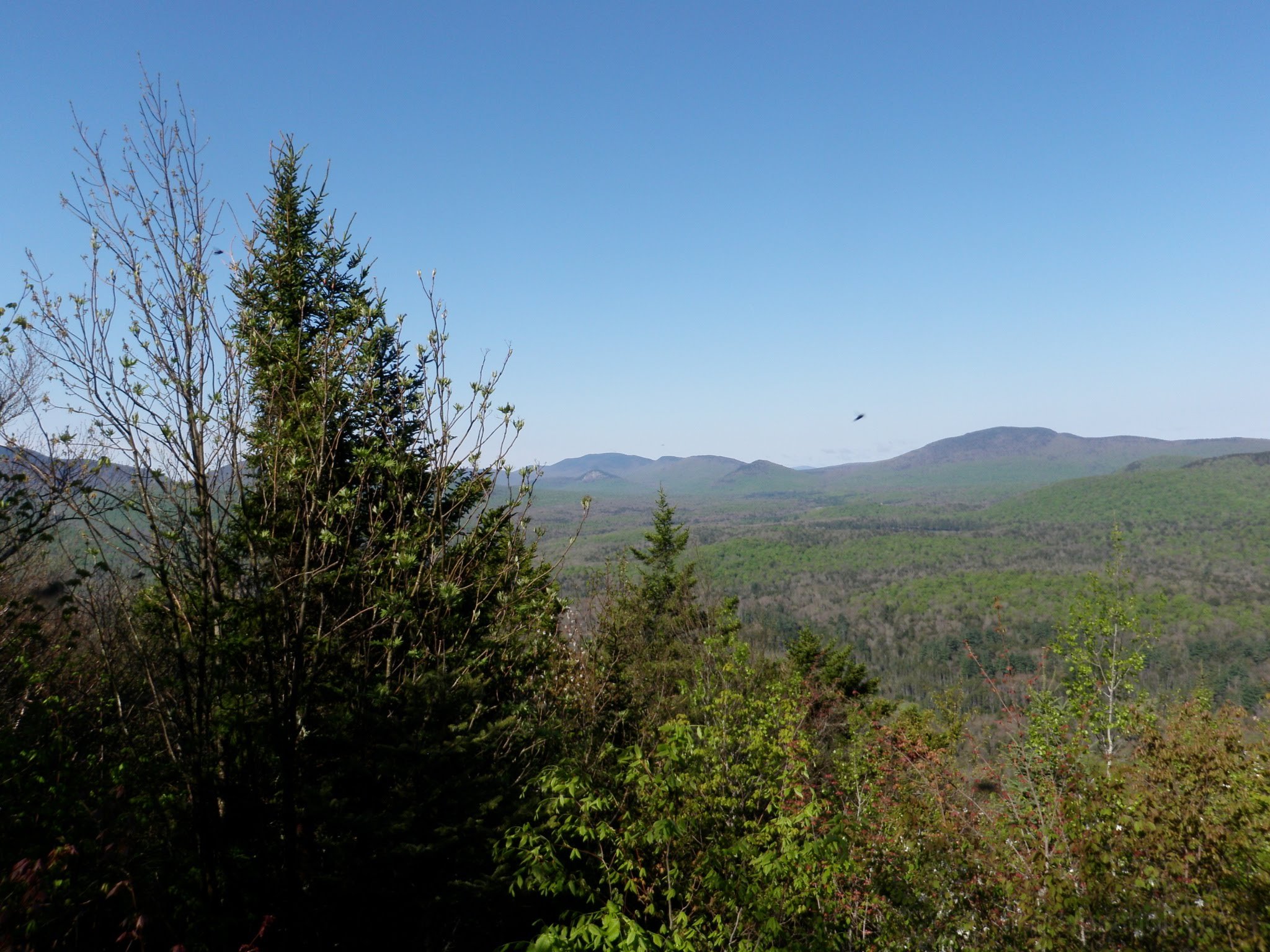 P5230012.jpg