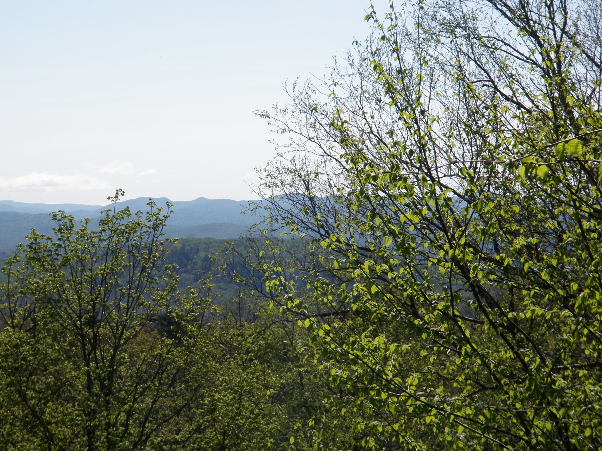 P5230015.jpg