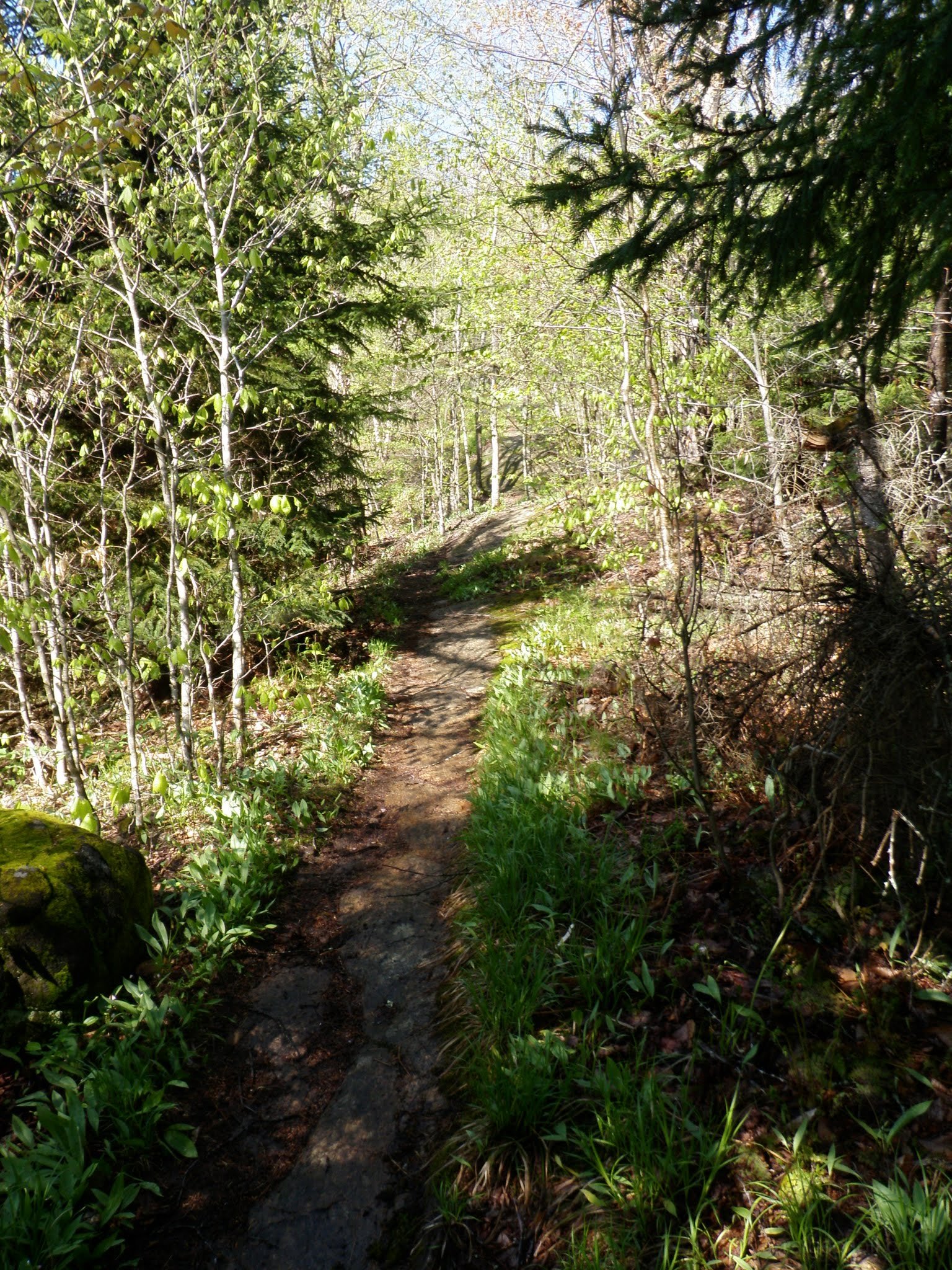 P5230016.jpg