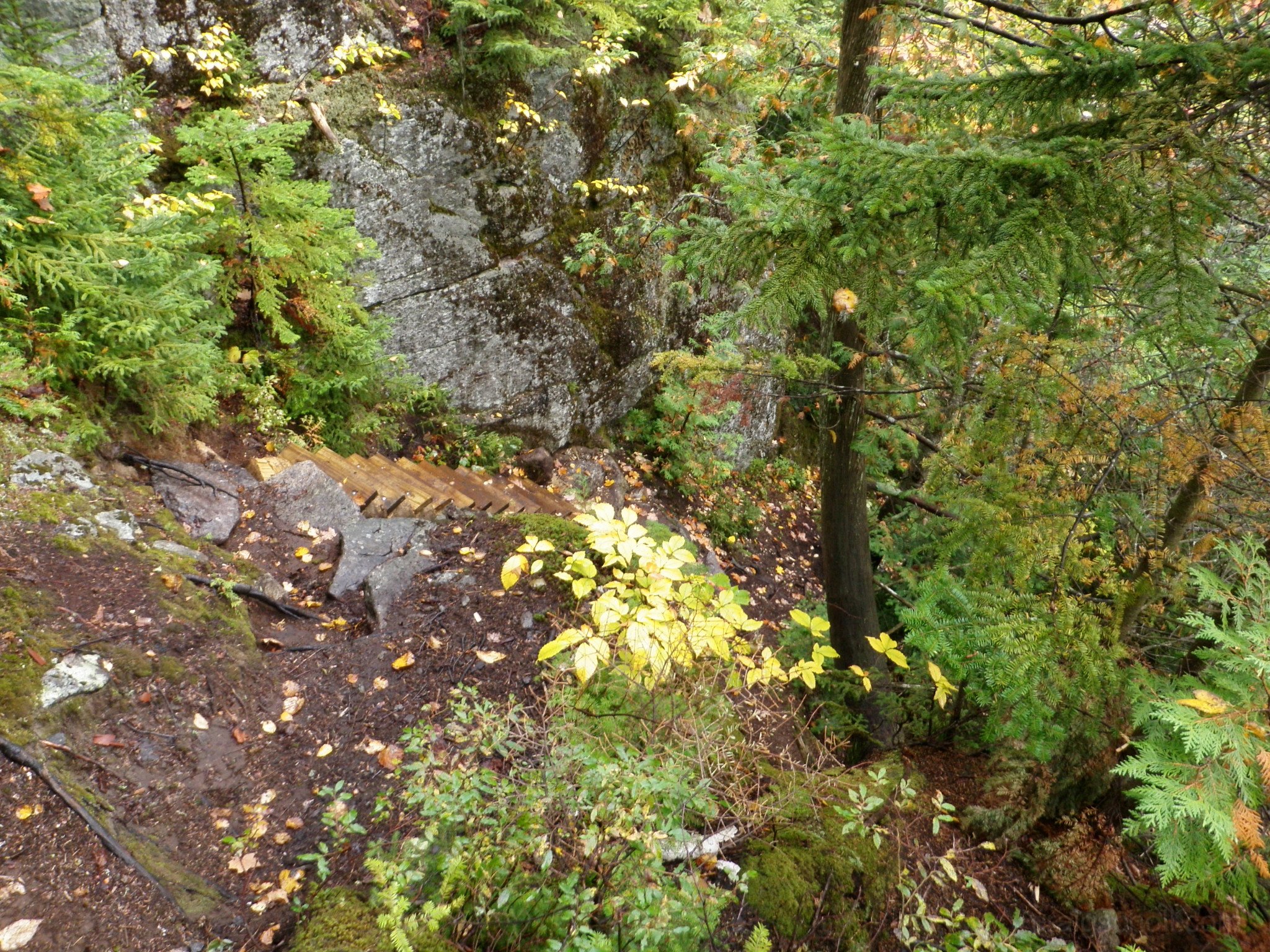 P9230012