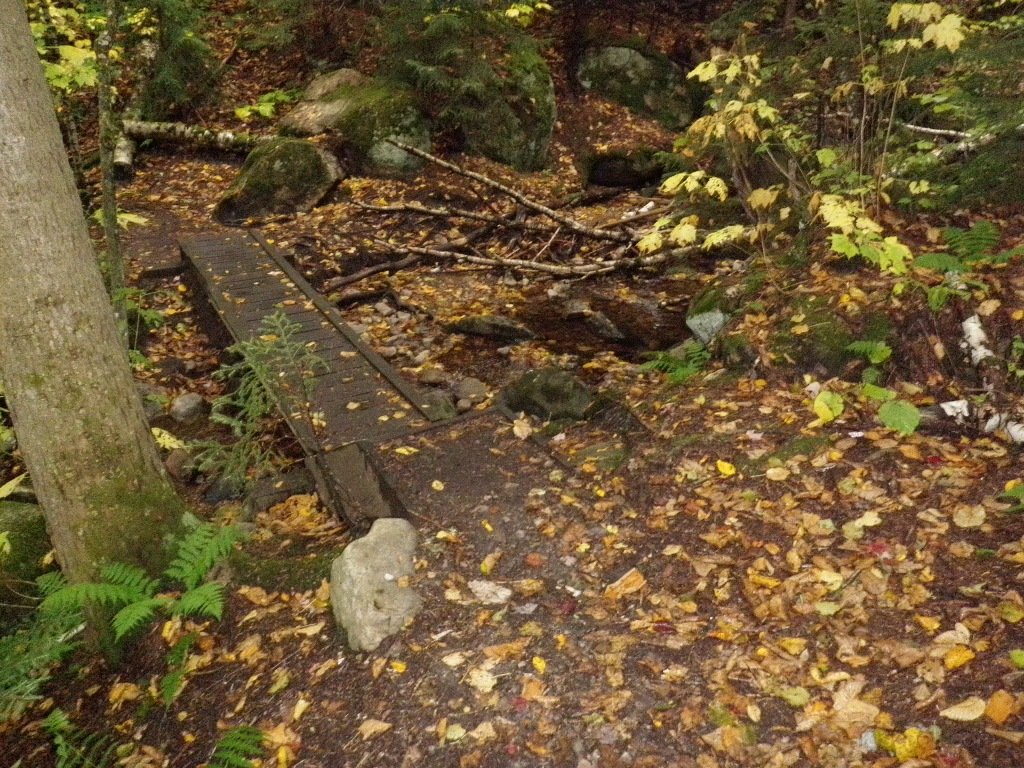P9290003.JPG