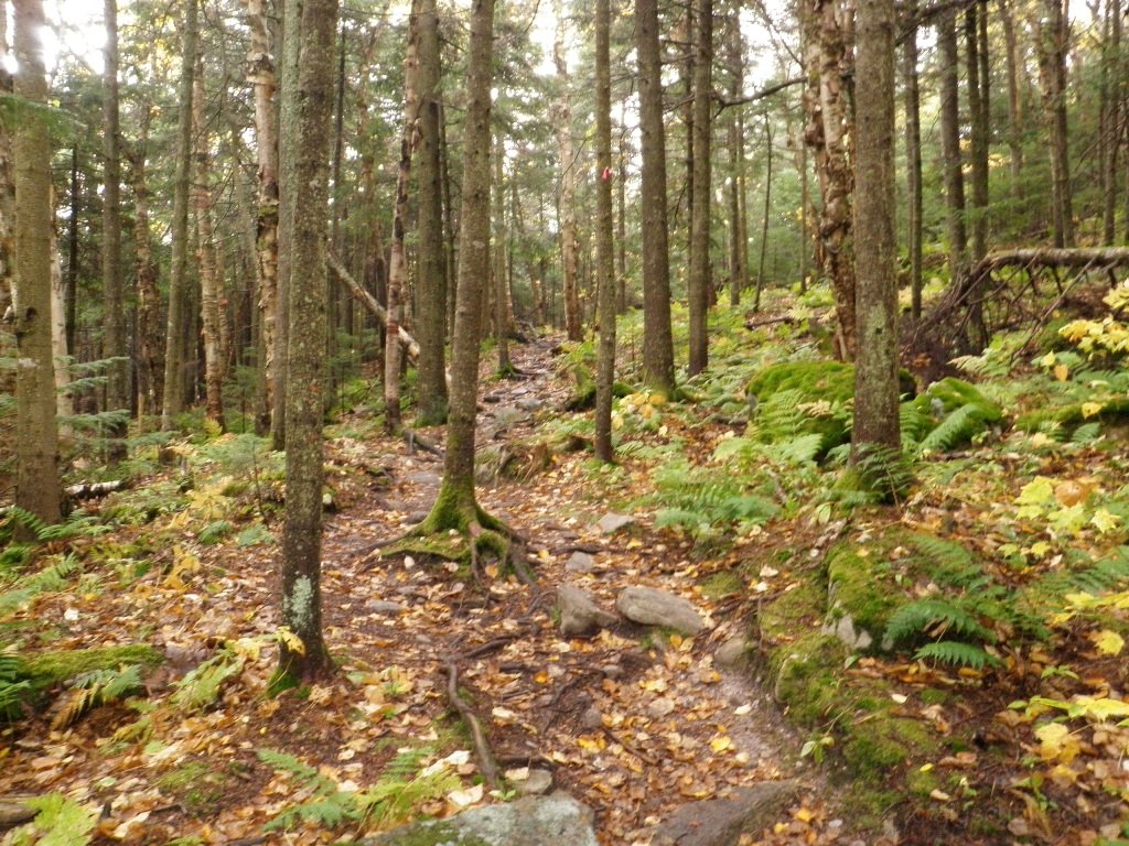 P9290007.JPG