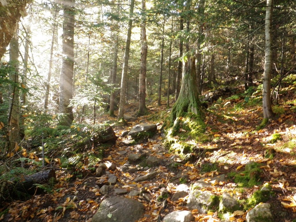 P9290010.JPG