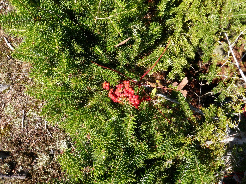 P9290024.JPG