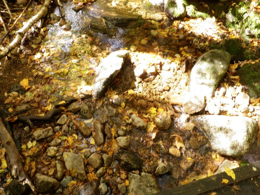 P9290026.JPG