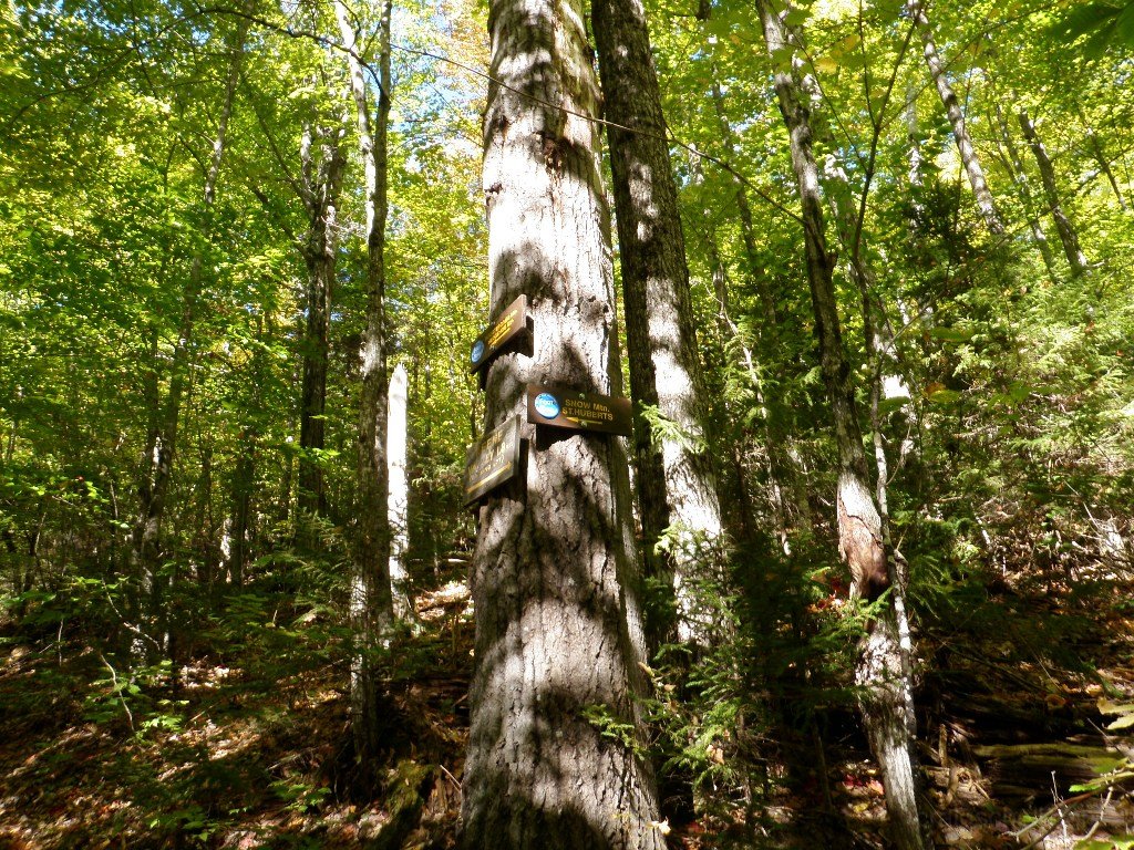 PA010012