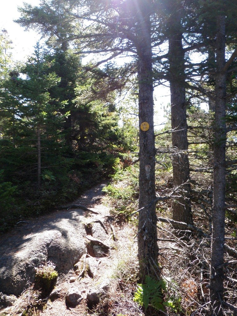 PA010018