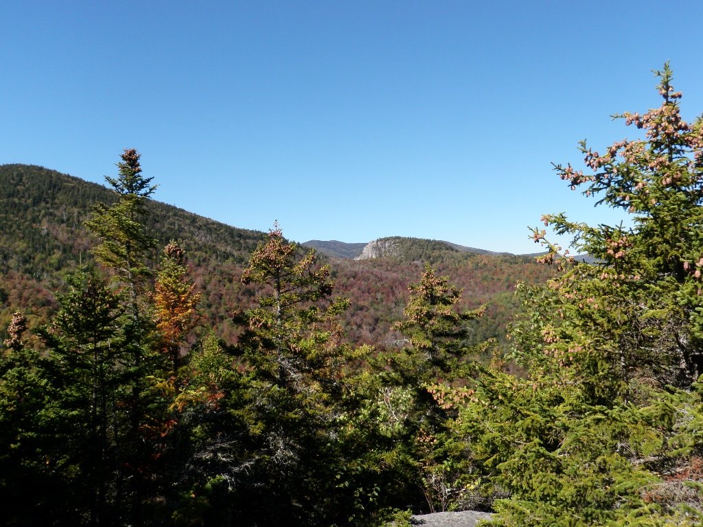 PA010019