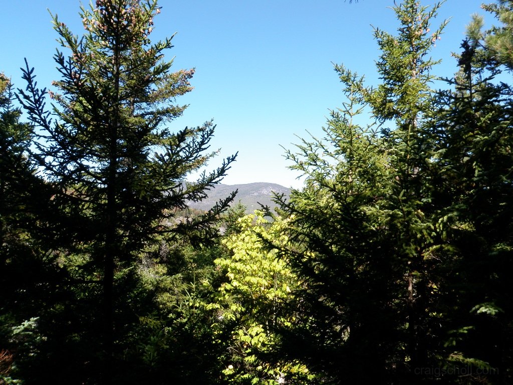 PA010024