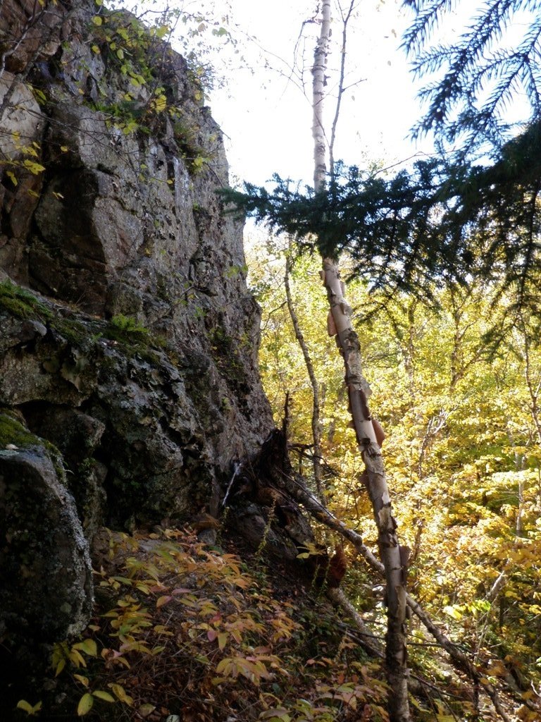 PA110031