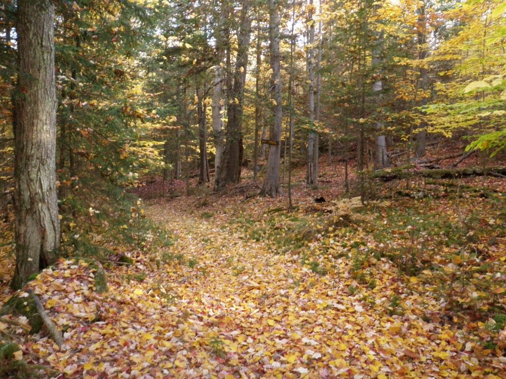 PA150013.JPG