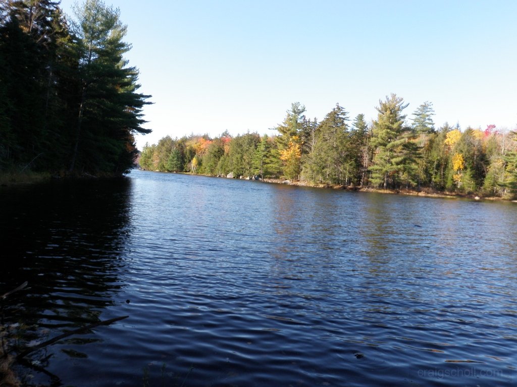PA150015.JPG