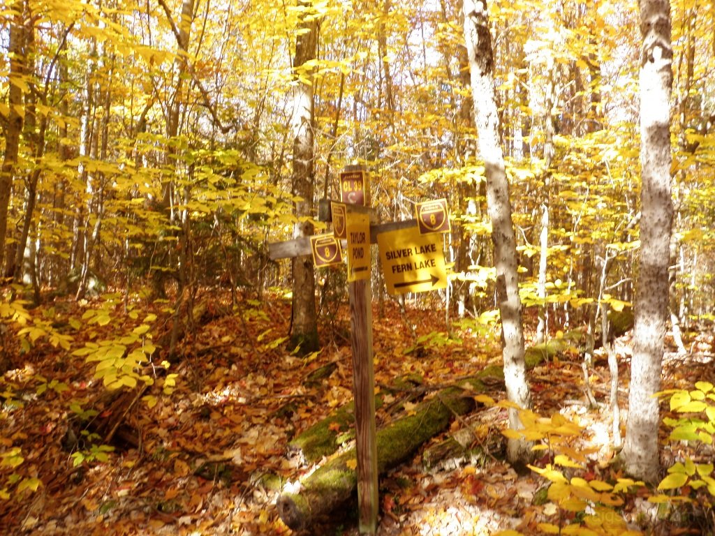 PA150018.JPG