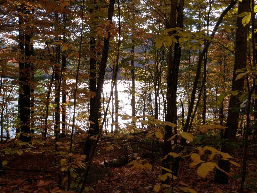 PA150022.JPG