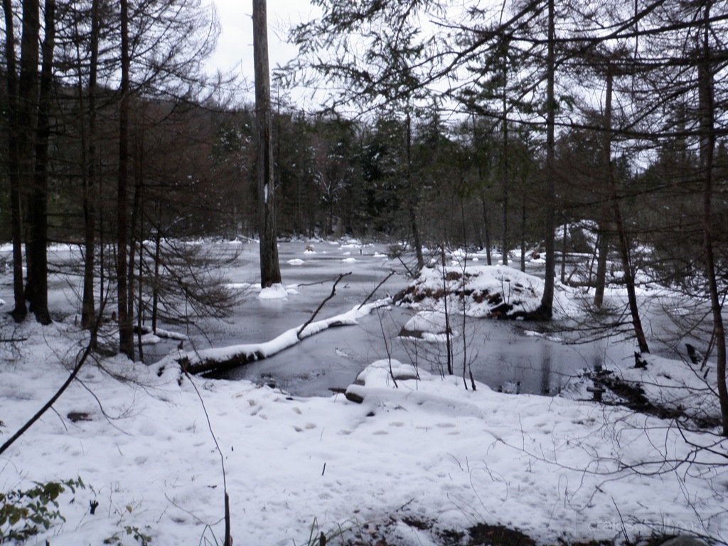 PA290011