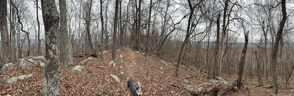 PANO From Ridge
