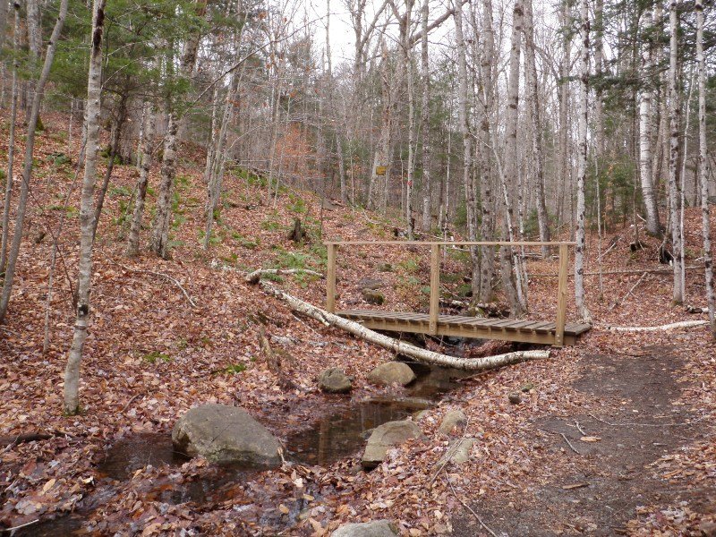 PB010036