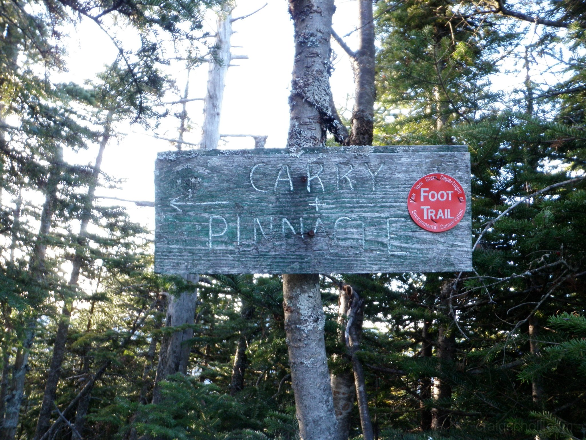 PB110089