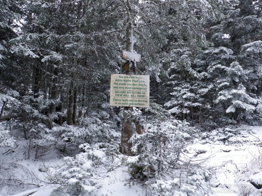 PC040065