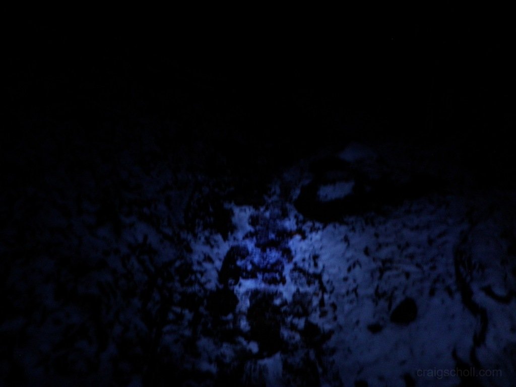 PC040094