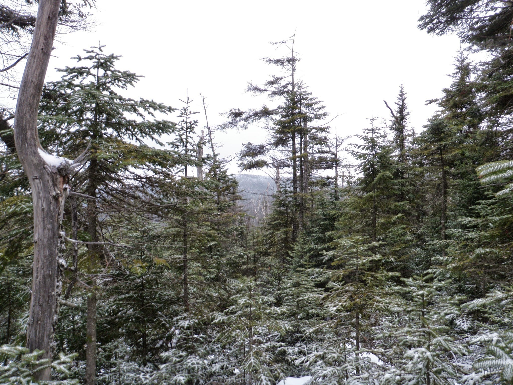 PC270003