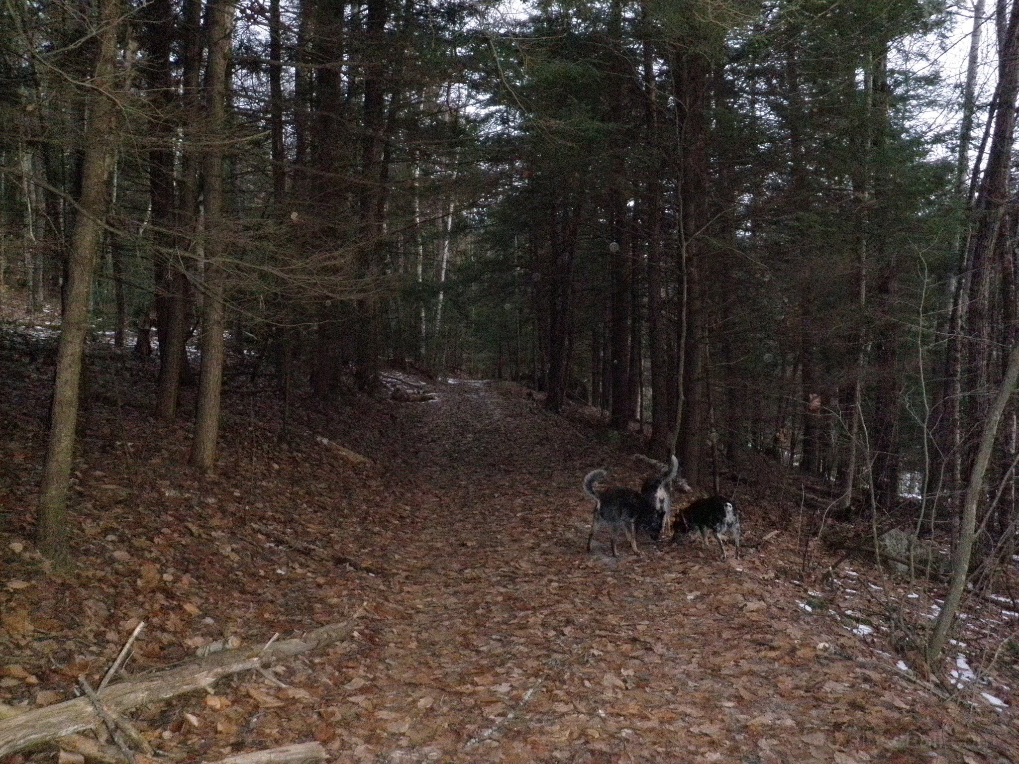 PC300002.jpg