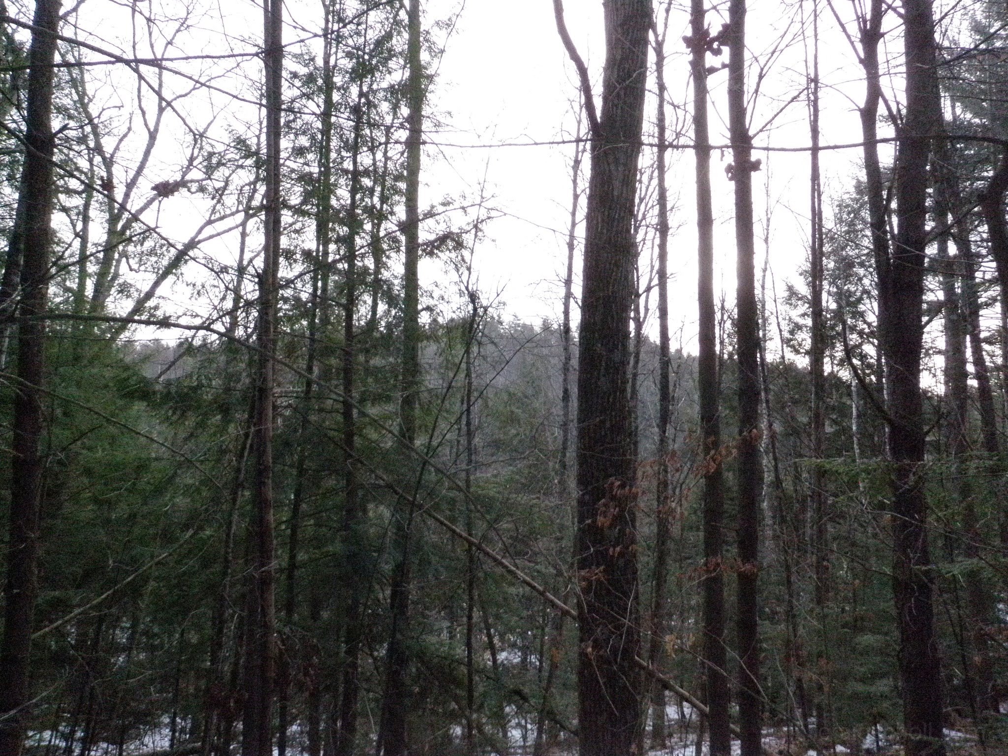 PC300003.jpg
