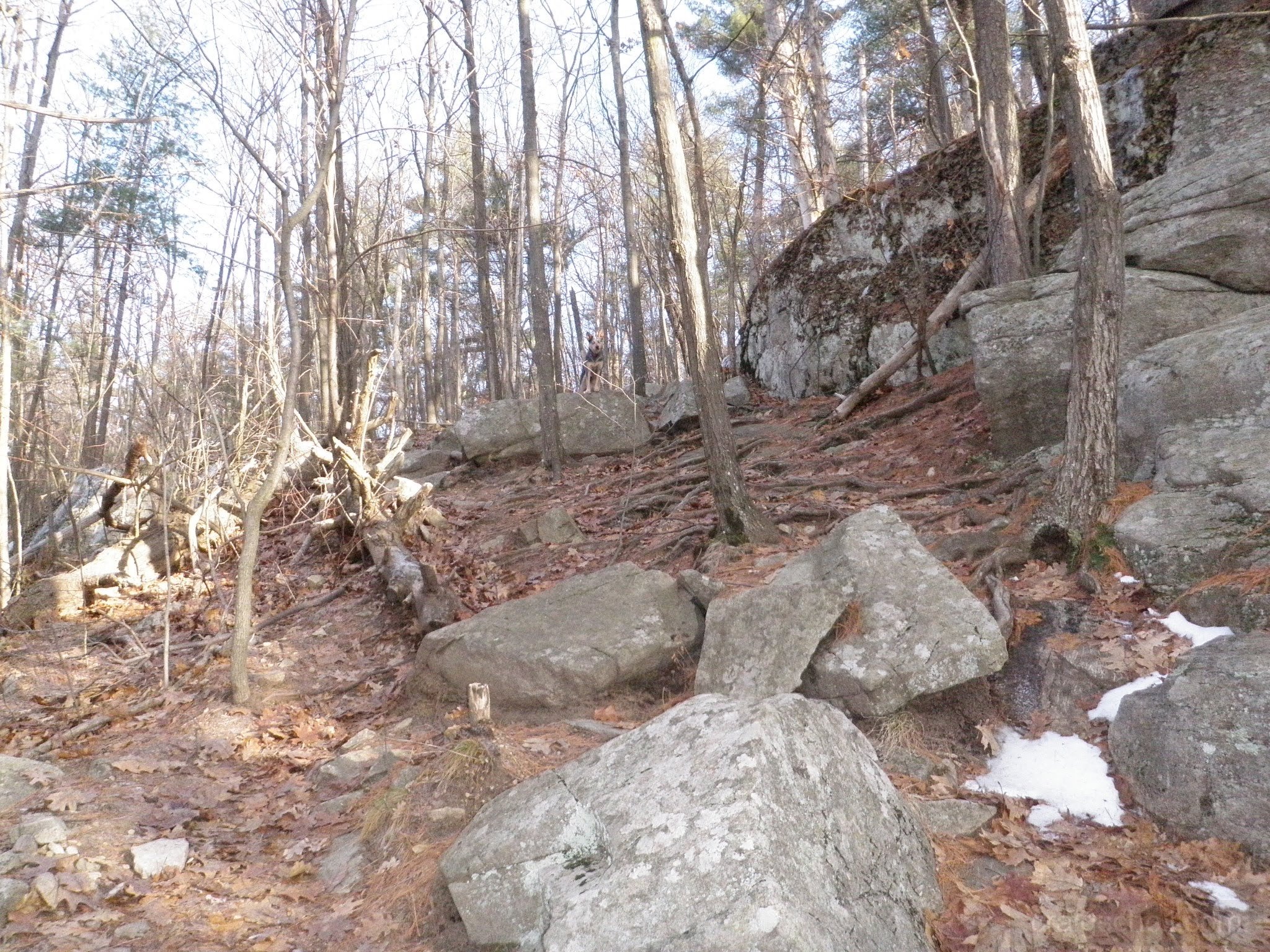 PC300010.jpg
