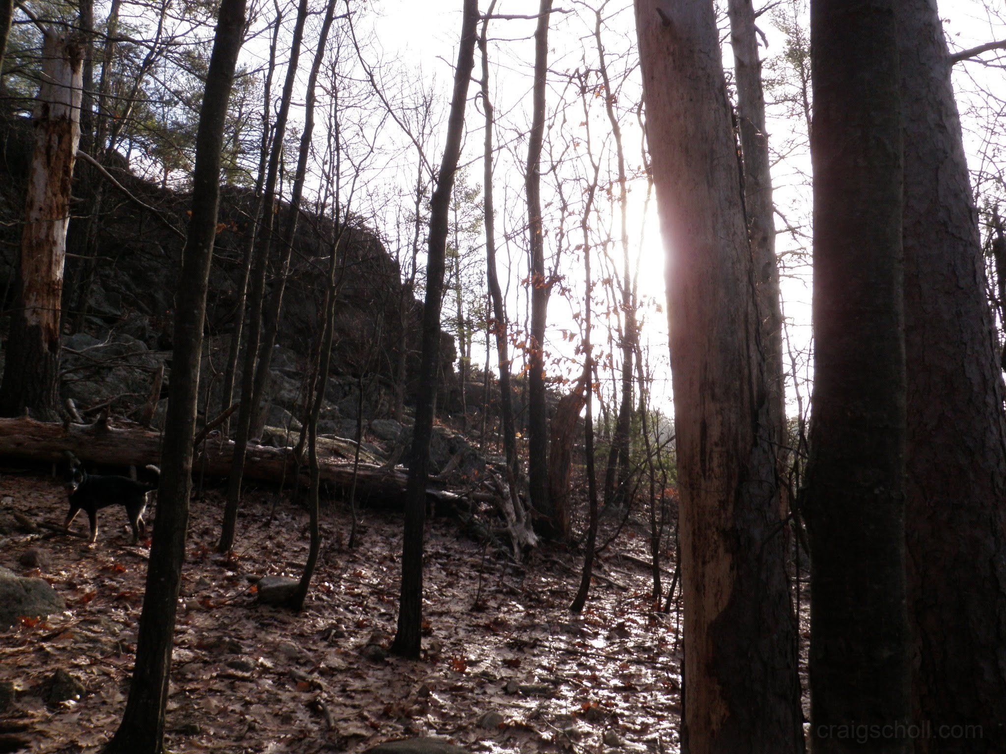PC300011.jpg