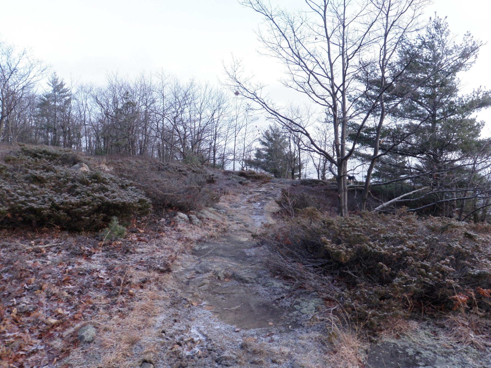 PC300025.jpg