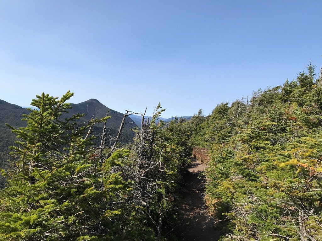 Ridge trail.
