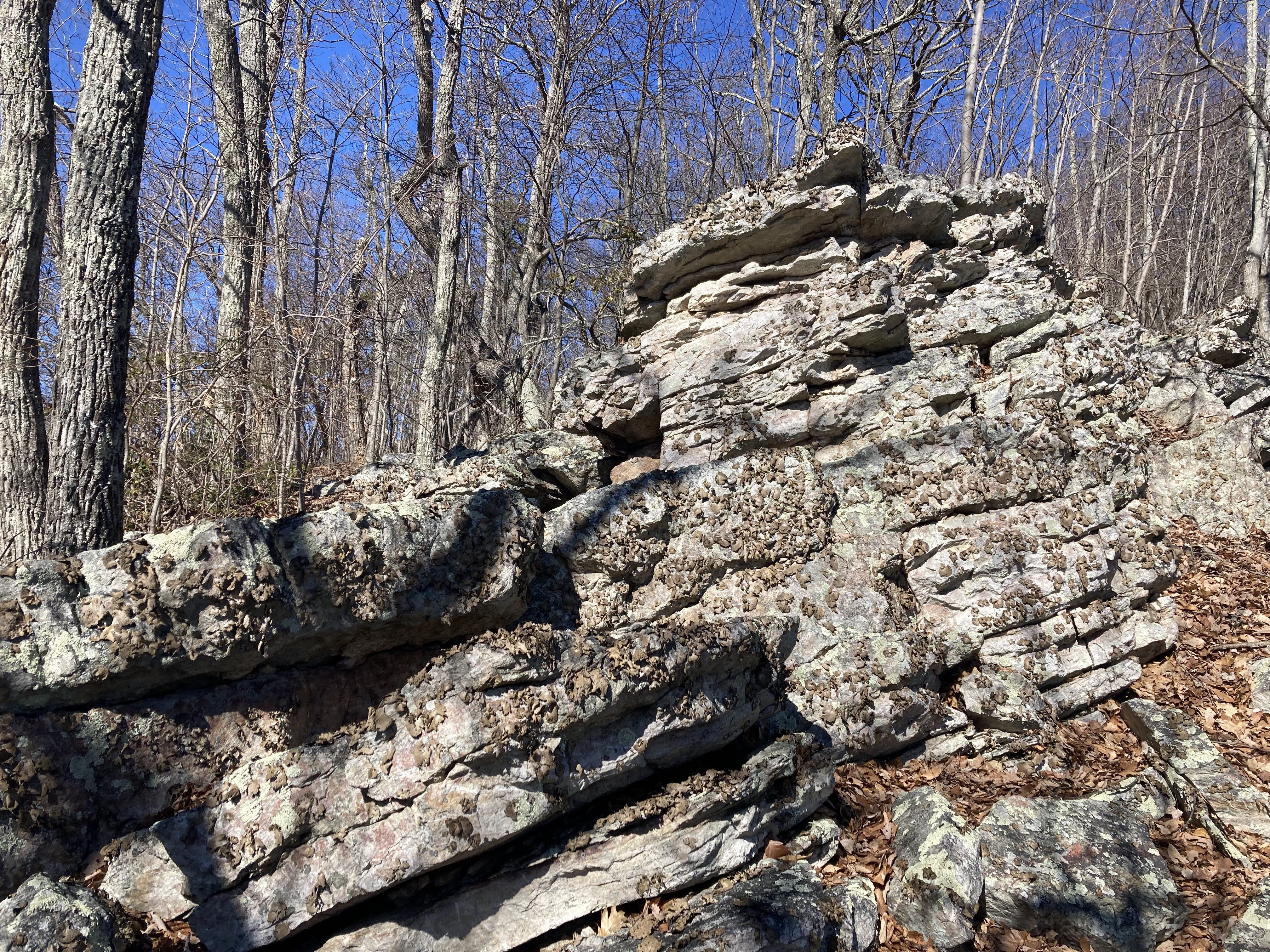 Rocky crown