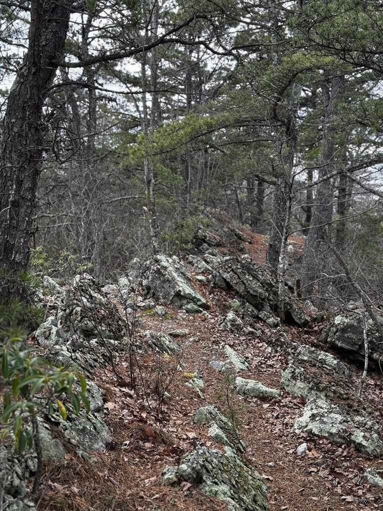 Rocky Ridge.jpg