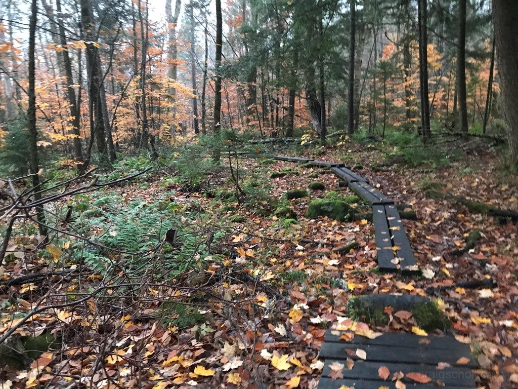 Several boardwalks