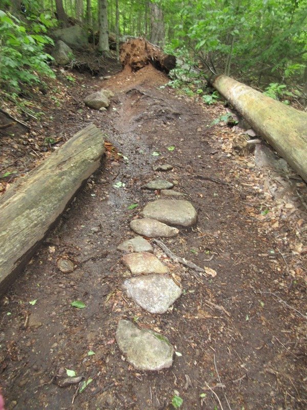 Some trail work