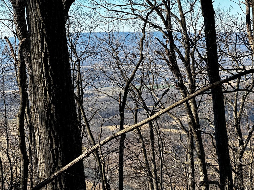 Some views