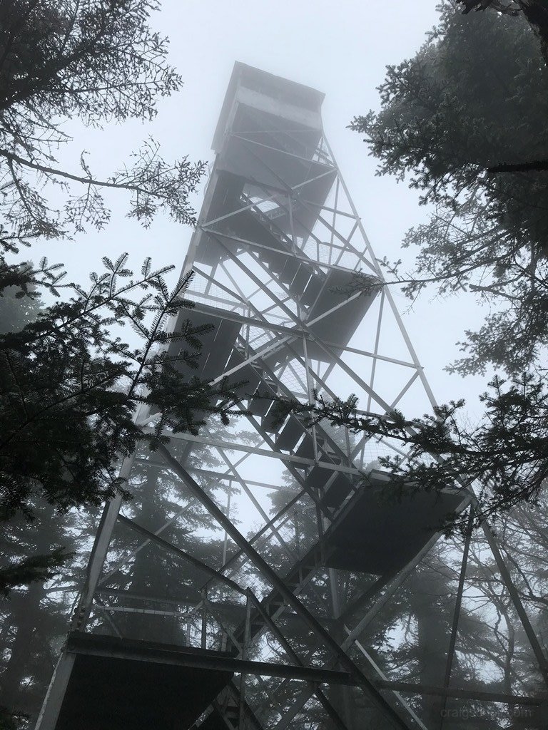 Standing tall