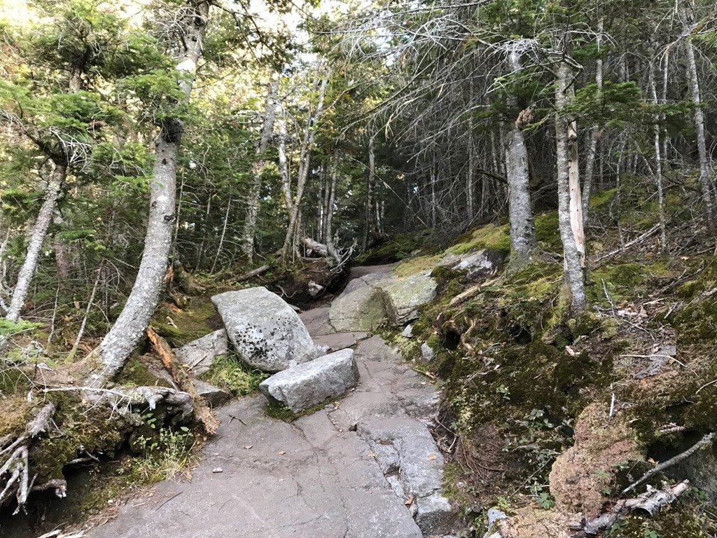 Steep