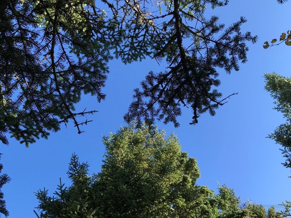 Summit break view