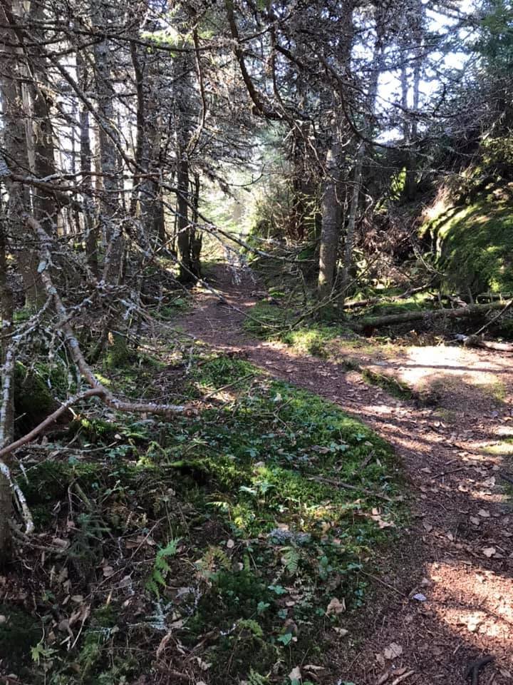 Summit ridge trail