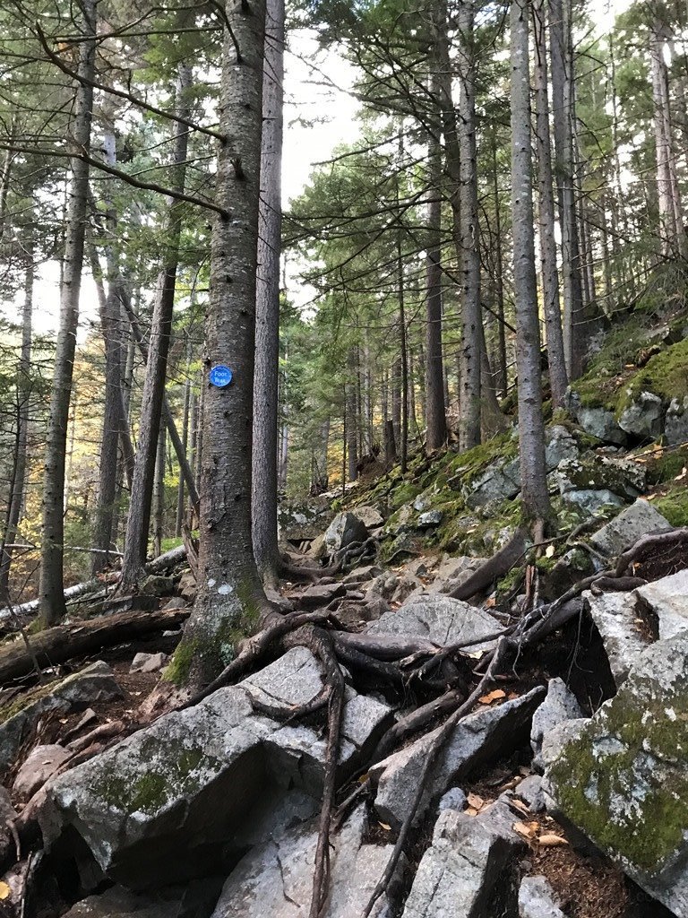 The trail