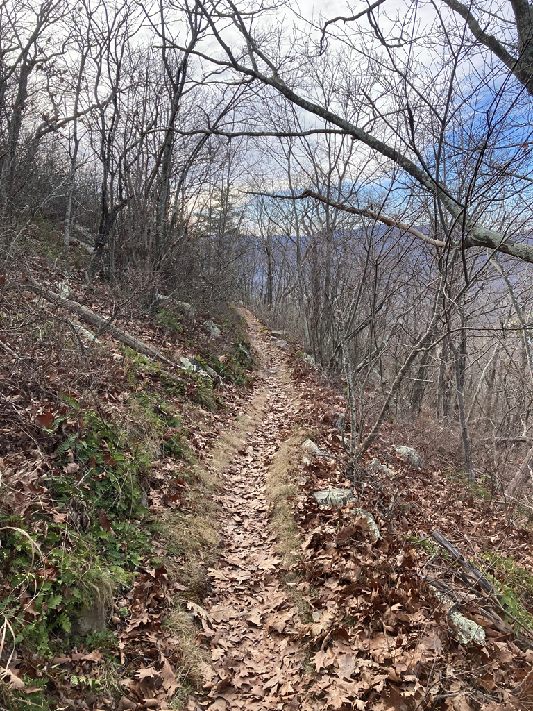 Trail skirting Big Schloss